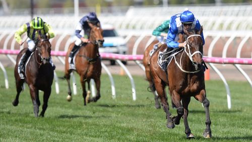 Winx is primed for her 22nd straight win at this weekend's Cox Plate. (AAP)