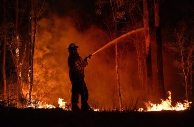 NSW RFS firefighters work through the night to prevent a flare up from crossing the Kings Highway in between Nelligen and Batemans Bay. Photo: Kate Geraghty