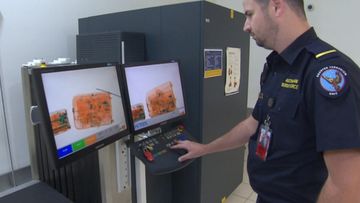 Border Force officers see all sorts of weird and bizarre things come through the x-ray machines. Picture: 9NEWS