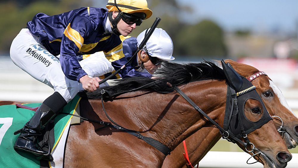 Vengeur Masque wins Geelong Cup but not assured start at Melbourne Cup