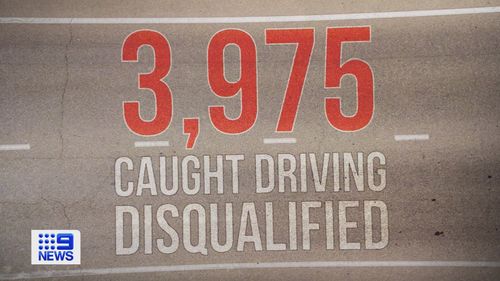 Adelaide disqualified drivers