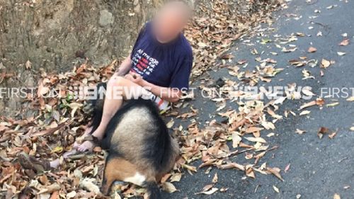 Elderly man attacked by 'crazed' goat on Gold Coast property