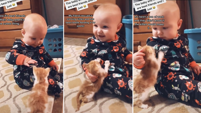 Adorable video of baby playing with rescued cat goes viral.