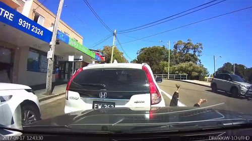 The driver of the white Honda was knocked to the ground when his car rolled backwards. (Dash Cam Owners Australia)