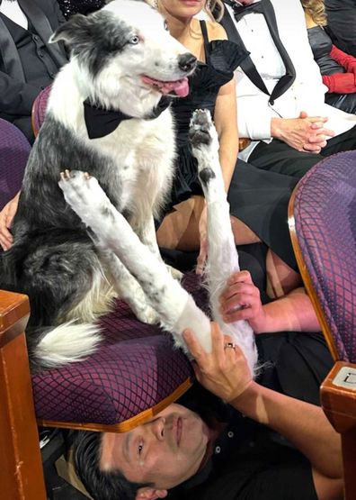 A look at how the Oscars really made that Messi dog clapping moment happen.