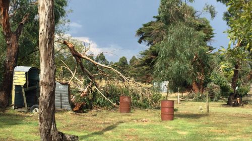 A roof was reportedly torn from a home during the storm. (Karen Damen)