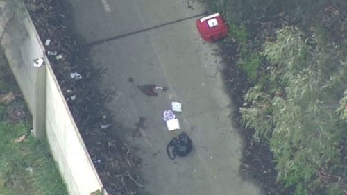Police are hunting a teenaged female over a stabbing in Melbourne. (9NEWS)