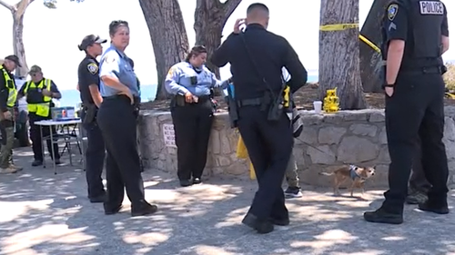 Pacific Grove Police Officers, Monterey Fire Department, AmericanMedical Response (AMR), and State Parks were quickly on scene.