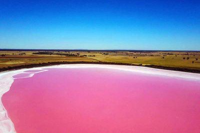 This Melbourne Lake Just Turned Bright Pink 9travel 8 Of 14attribution Caters