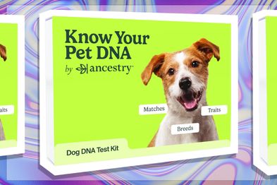 9PR: Ancestry Dog DNA Breed Identification Test