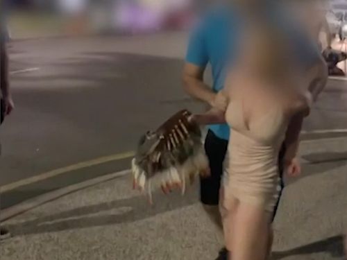 A woman is taken from the scene after a brawl in Darwin.