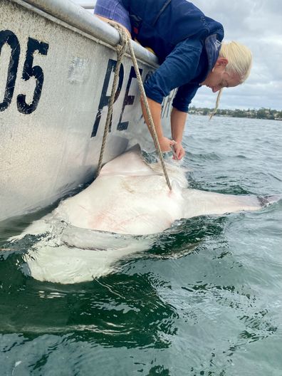 Amy Smoothey shark tackler