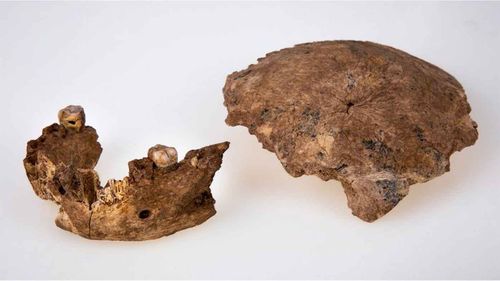 Parts of an ancient human skeleton uncovered in Israel.