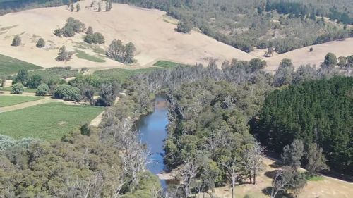 SES volunteers and police have searched river banks for the missing grandmother.