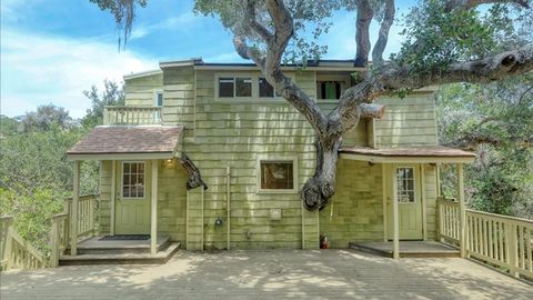 pismo beach tree house zillow gone wild