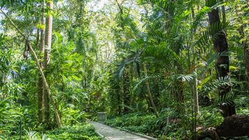 Darwin Botanical Gardens