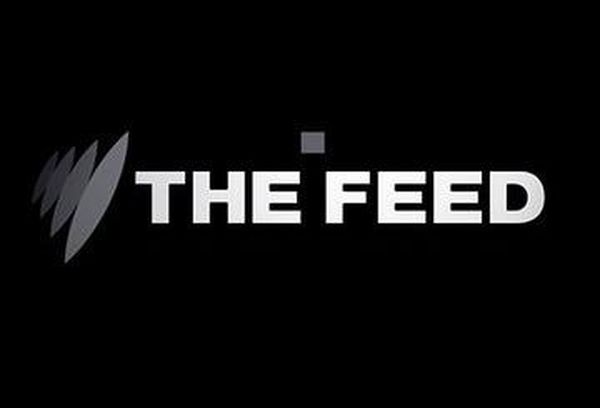 The Feed