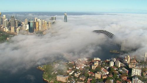 Sydney landmarks vanished to the eye as fog crawled across the Harbour.