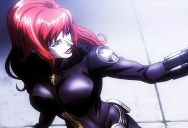 Avengers Confidential: Black Widow & Punisher