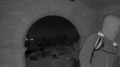 Looper de Nancy Guthrie