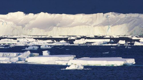 Antarctica's highest ever temperatures recorded by UN