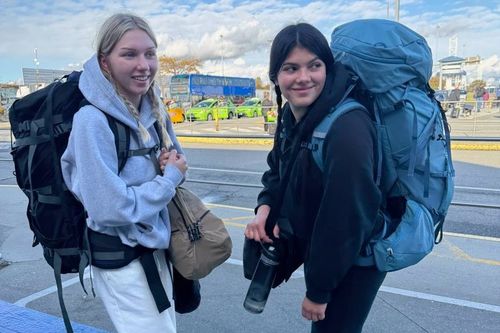 Piper James, 19, tinha ido nadar de manhã cedo quando seu corpo foi encontrado cercado por um bando de cerca de 10 dingos perto de Orchid Beach na segunda-feira. ﻿