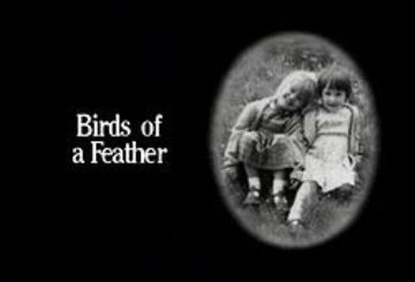 Birds of a Feather