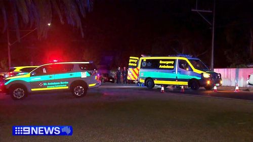 Witnesses say an elderly woman who was hit and killed by a ute in Adelaide had been sitting in the path of traffic in the moments before the impact.Police are investigating whether the driver simply didn't see the victim, who only minutes earlier had been drinking with friends at a nearby home.