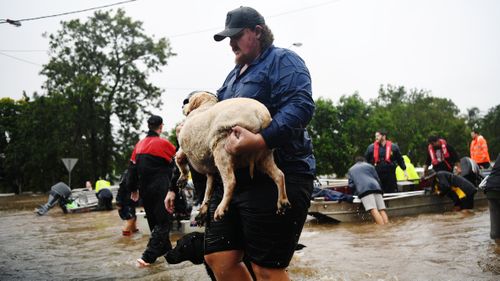 A man carries a sheep from flood waters.