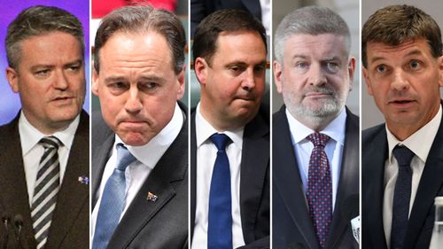 Mr Tunrbull said Finance Minister Matthias Cormann, Health Minister Greg Hunt, Defence Industry Minister Steve Ciobo, Communications Minister Mitch Fifield and Energy Minister Angus Taylor all had a hand in his demise.