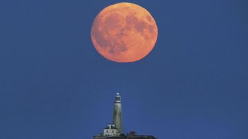 Supermoon - 9News - Latest news and headlines from Australia and the world