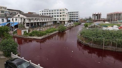 Chinese river mysteriously turns blood red overnight