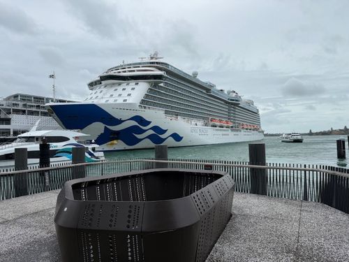 Wayne and Carol cruise ship immigration story