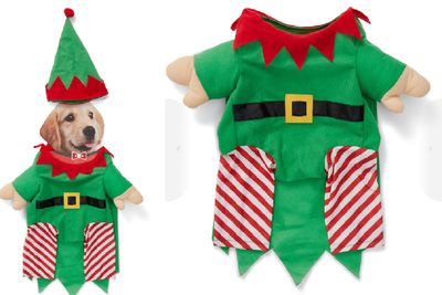 Big W's puppy elf outfit