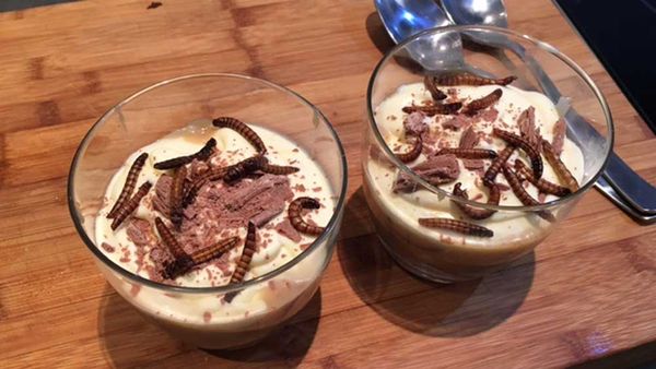 Edible Bug Shop's mealworm banoffee pie