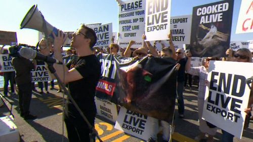 Protests have been held around the country calling for live exports to be banned nation-wide. Picture: 9NEWS