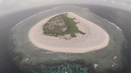 Drones enlisted in fight to conserve green sea turtle nesting site on Great Barrier Reef's Raine Island