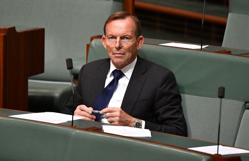 Former prime minister Tony Abbott in parliament this morning. (AAP)
