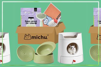 9PR: Michu New Kitten Welcome Home Bundle