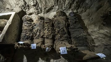 Mummies lying in catacombs following their discovery in the Touna el-Gabal district of the Minya province. (AFP)