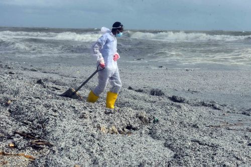 Police warned people not to touch the pollution, which swamped beaches.