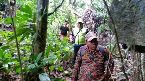 Rescuers search through the dense jungle where Gaskell was lost. 