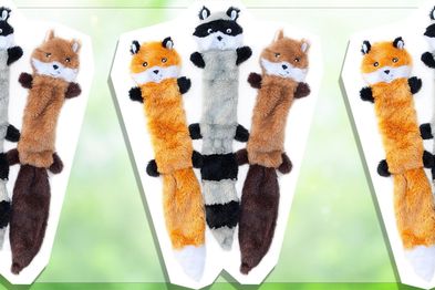 9PR: ZippyPaws Skinny Peltz Fox, Raccoon Squirrel Toy Pack
