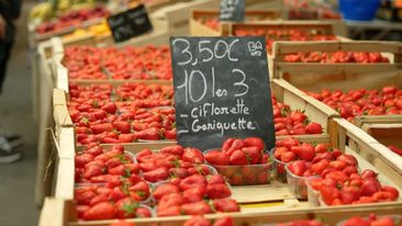 Capucins Market, Bordeaux, France 