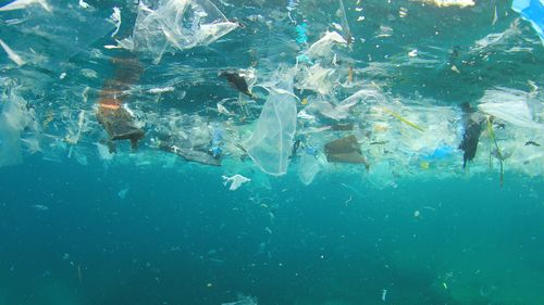 Up to 12.7 million tonnes of plastic waste is washed into the ocean each year, according to 2015 research.