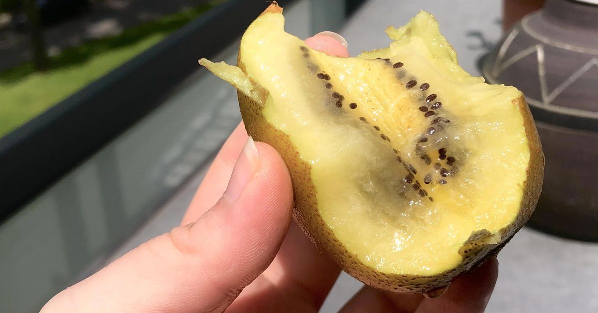 Why this photo of a kiwifruit is causing tension among friends