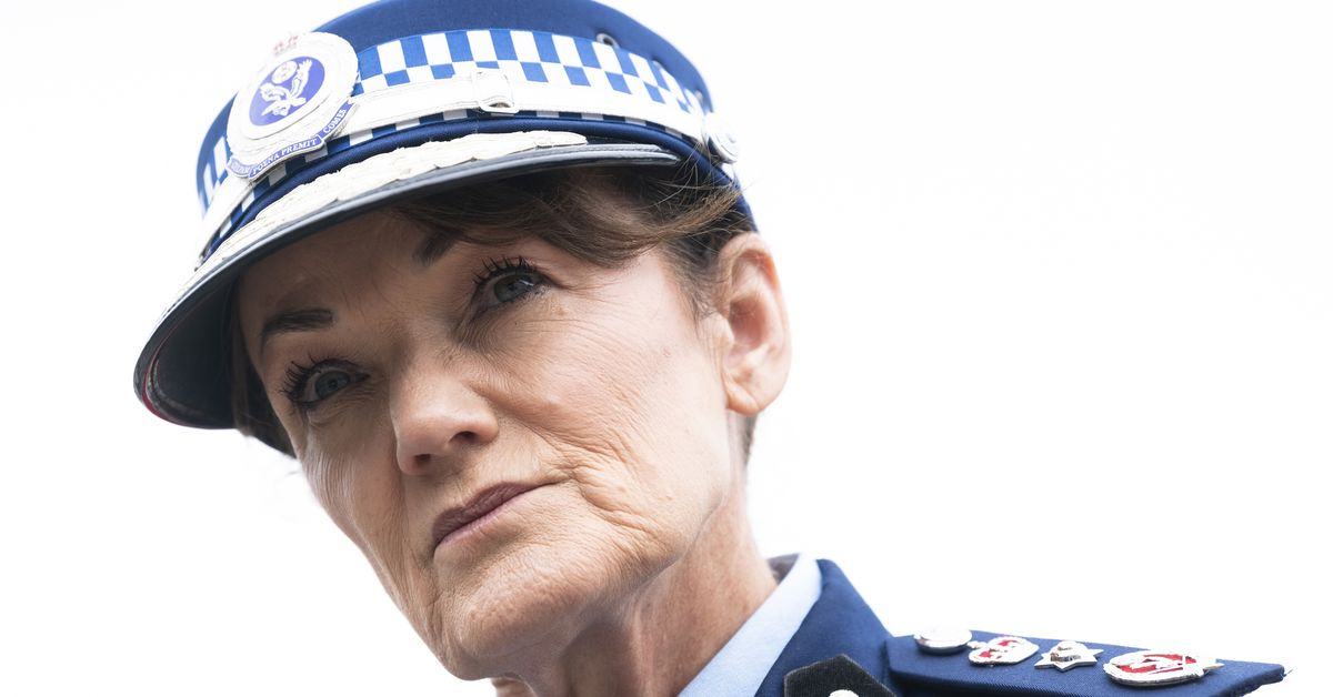 NSW Police Commissioner Karen Webb set to stand down