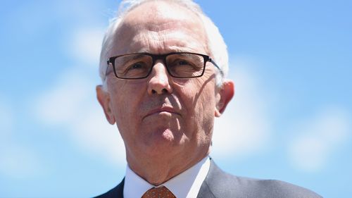 Turnbull growing into PM role: Abbott