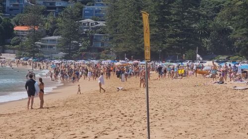 Les baigneurs ont évacué l'eau une fois que les sirènes des requins ont retenti au-dessus de Palm Beach à Sydney. 