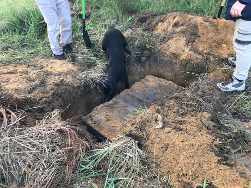 WA Police found 16 weapons buried at a property in Perth's southern suburbs. 